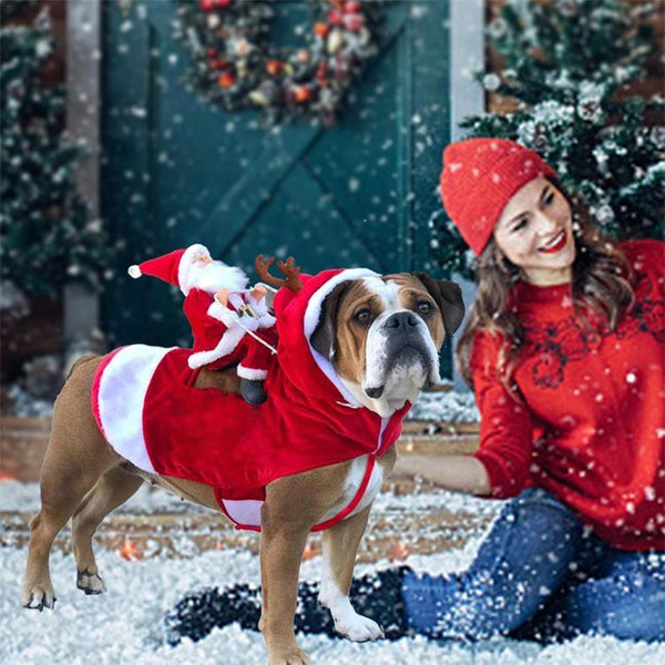 (🔥50% OFF Today) Pet clothes for Christmas