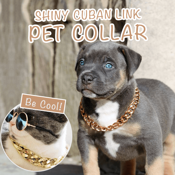 Glittering Boss-Look Cuban Link Pets Collar
